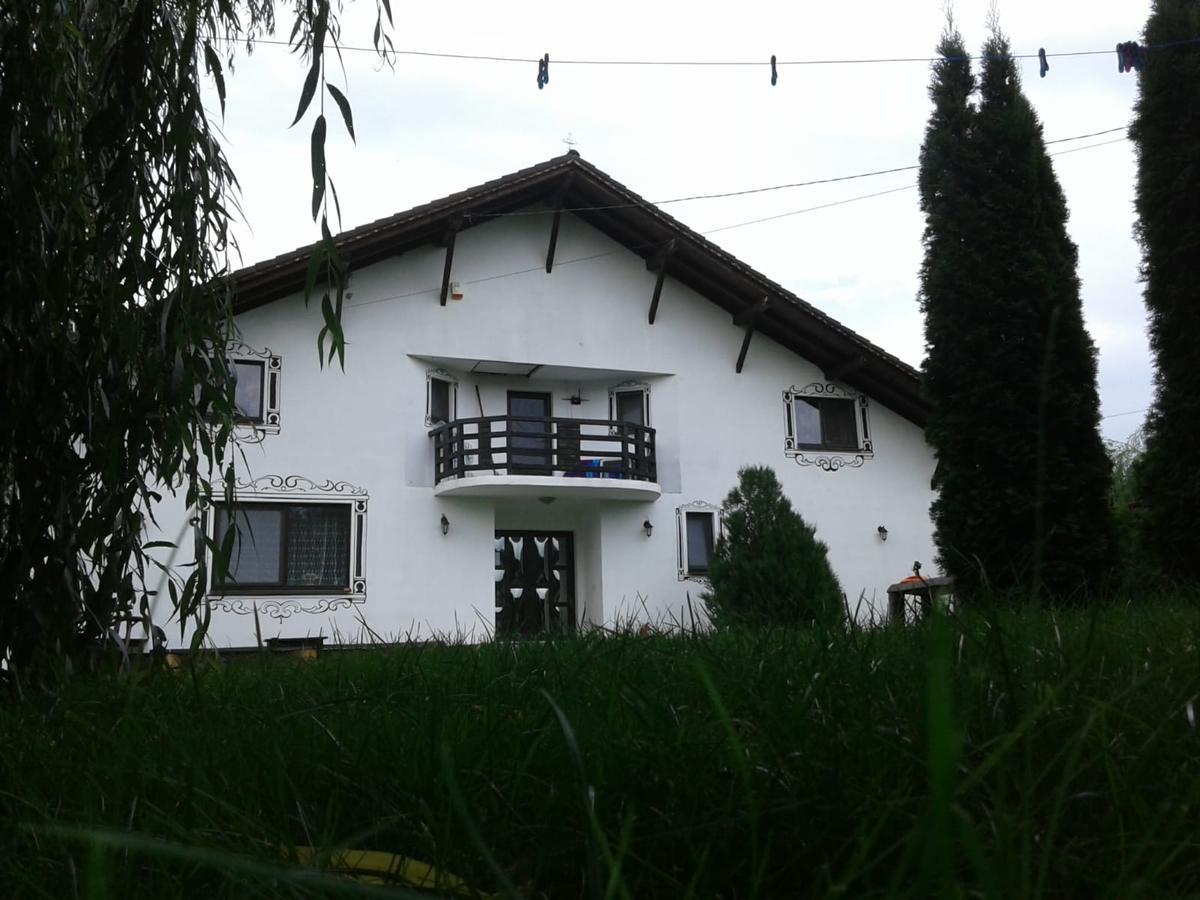 מלון Vila Maria Sasciori Sebes מראה חיצוני תמונה